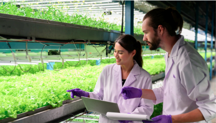 De Lacy Executive Recruitment team visiting a dairy farm in worcestershire
