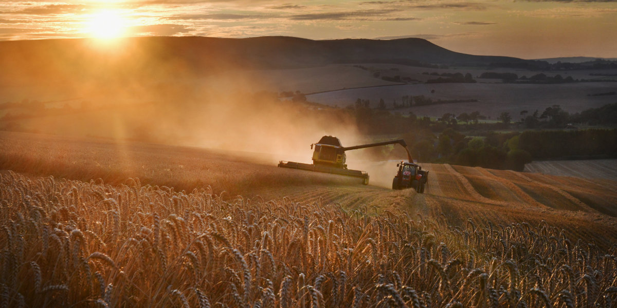 Farm manager driving a combine in a field