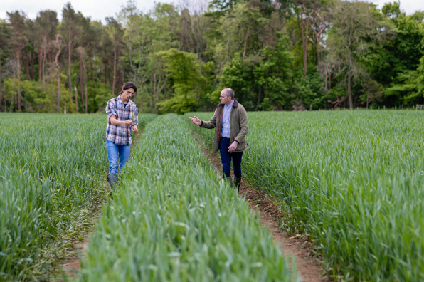 Agronomist and farm manager crop walking in a field
